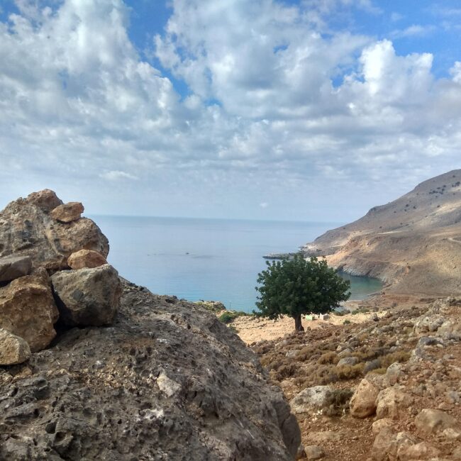 paysage nature