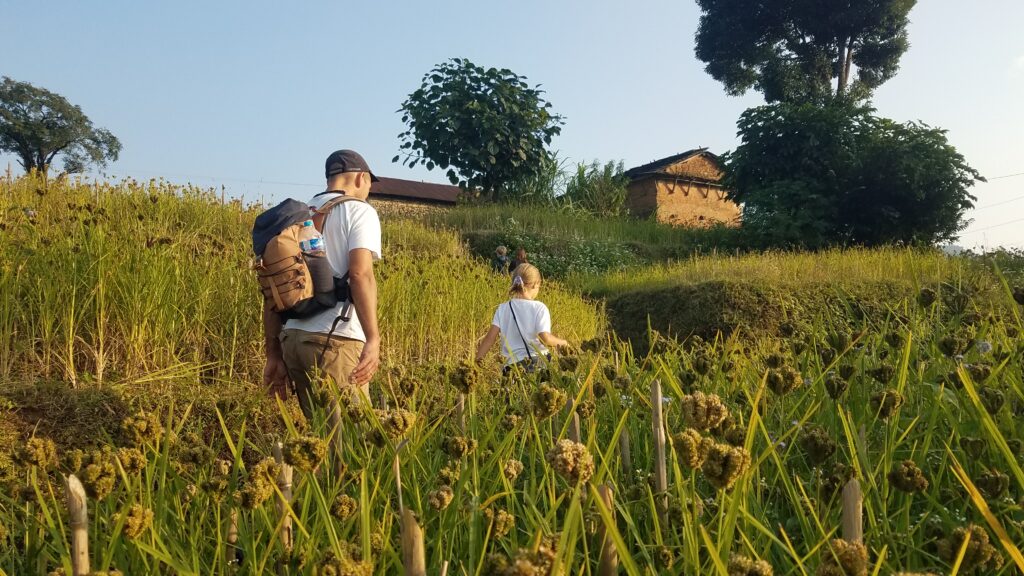 Famille marchant au Nepal