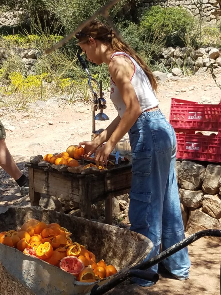 petite vendeuse d'orange à Majorque