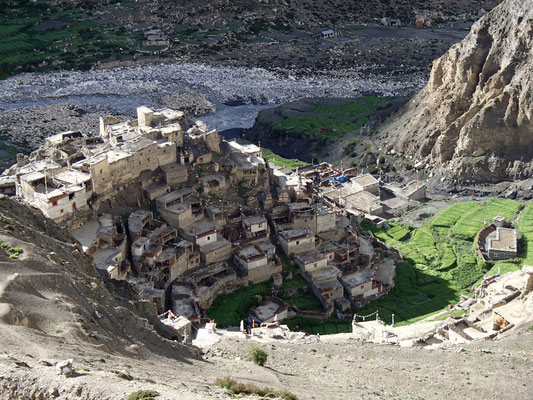 Kyang, Nepal
