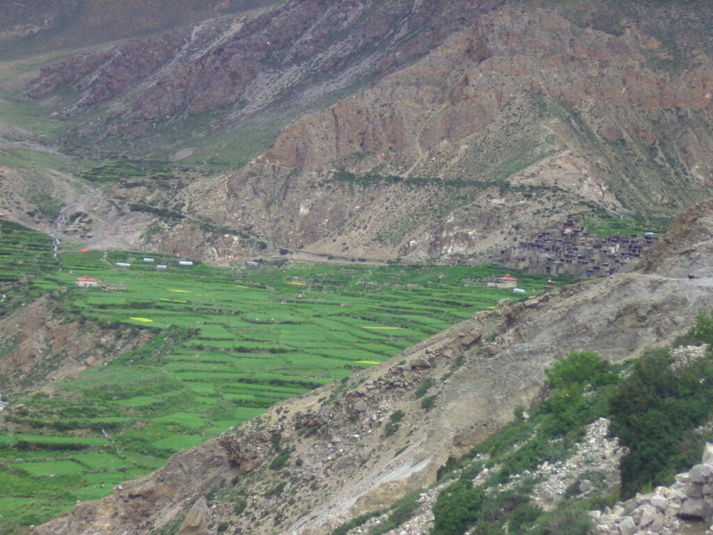 acclimatation à Nar