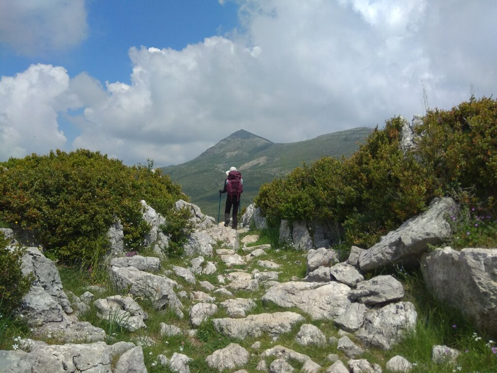 verdon alpes